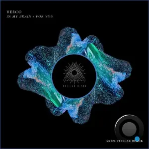 Veeco - In My Brain / For You (2026)
