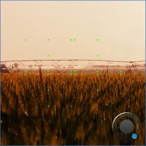 Del Olmo - Fields (2026)