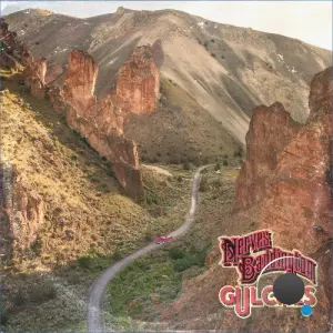Nerves Baddington - Gulches (2026)