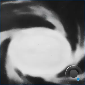 Damne - Blood and Concrete (2026)
