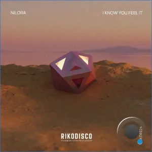 Nilora - I Know You Feel It (2026)