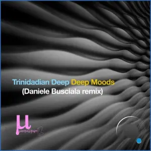 Trinidadian Deep - Deep moods (Daniele Busciala Remix) (2026)