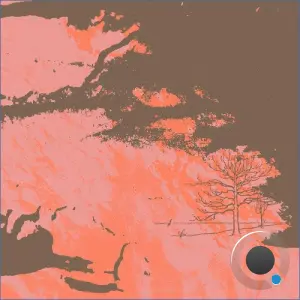 Sonic Juncture - Across The Plain (2026)