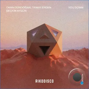 Okan Gündogan, Taner Erden & Seçkin Aygün - You Down (2026)