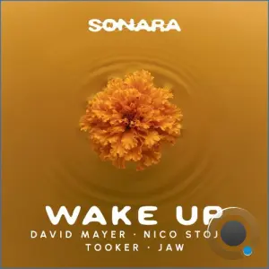 David Mayer x Nico Stojan x Tooker feat. JAW - Wake Up (2026)