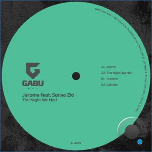 Jerome x Sonya Zlo - The Night We Had (2026)