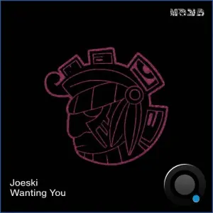 Joeski - Wanting You (2026)