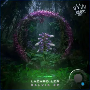 Lazaro lzr - Salvia (2026)