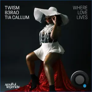Twism ft B3RAO & Tia Callum - Where Love Lives (2026)