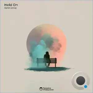 Aaron Decay - Hold On (2026)
