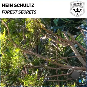 Hein Schultz - Forest Secrets (2026)