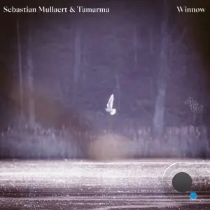 Sebastian Mullaert, Tamarma - Winnow (2026)