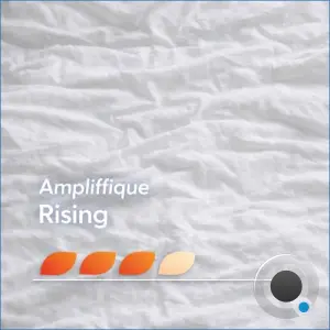 AMPLIFFIQUE - Rising (2026)