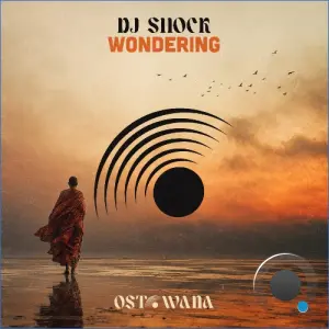 DJ Shock - Wondering (2026)