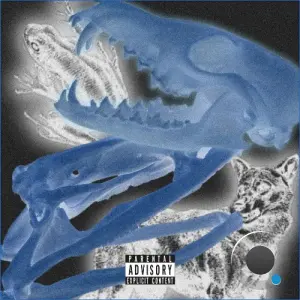 Gommi J x Skip The Kid - No Mercy In Nature (2026)