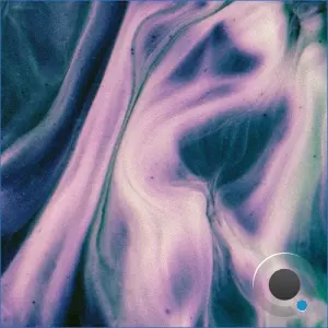 VIVEZ - Birds of Passage (2026)