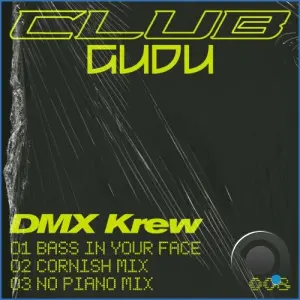 DMX Krew - Bass In Your Face (2026)