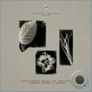 Nexa Various Artists 1.1 (2026)