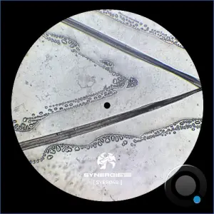 Pont - Vector Protocol (2026)