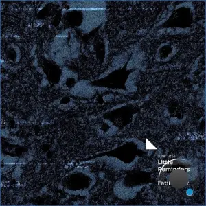 Fatih Tuter - Little Reminders (2026)