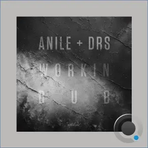 Anile, DRS - Workin Dub (2026)