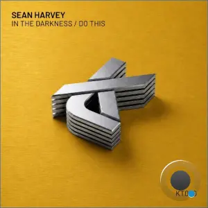 Sean Harvey - In the Darkness / Do This (2026)