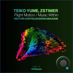 Teiko Yume, Zstimer - Flight Motion / Music Within (2026)