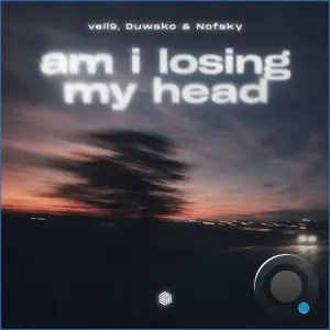 veil9 and Duwsko and Nofsky - am i losing my head (2026)