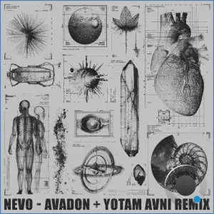 Nevo - Avadon (Yotam Avni Remix) (2026)