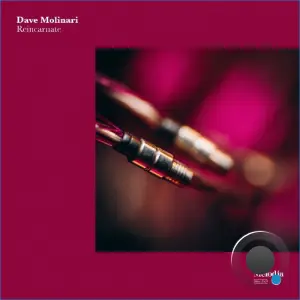 Dave Molinari - Reincarnate (2026)