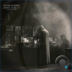 Acid Purrr - Meant To Be LP (2026)