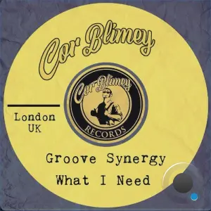 Groove Synergy - What I Need (2026)