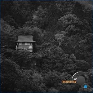 Ash Room - Taiko Dub (Chapter 2) (2026)