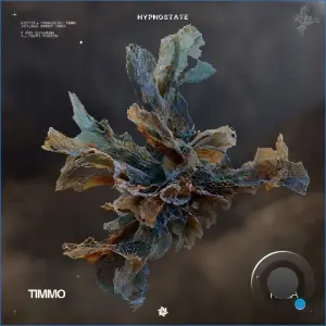 Timmo - Rosa (2026)