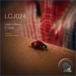 Ivaylo, Sasse - Entre (Tom Gillieron Remix) (2026)