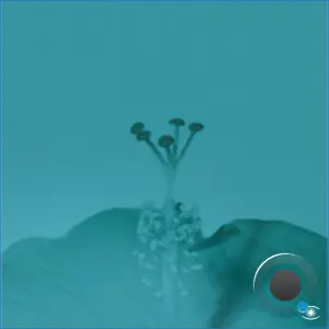 John Beltran - Soft Rain (2026)