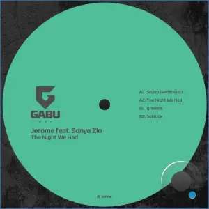 Jerome feat. Sonya Zlo - The Night We Had (2026)