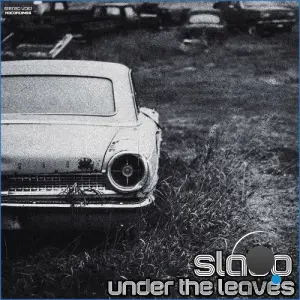 STEREO VOID x Slabo - Under the Leaves (2026)