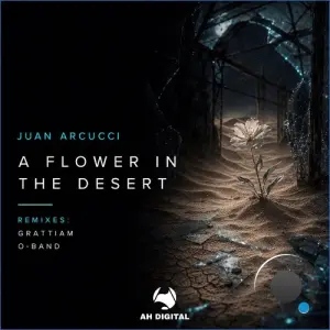 Juan Arcucci - A Flower in the Desert (2026)