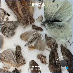 Atix - Need Somebody (2026)