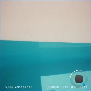 Nesa Azadikhah - Between Here And There (2026)