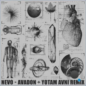 Nevo - Avadon (2026)