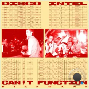 Biesmans - Disco Intel / Can't Function (2026)
