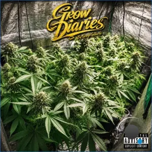 Grunge Gallardo - Grow Diaries (2026)