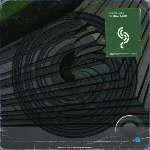 Danilo Seclì - No Rise Again (2026)