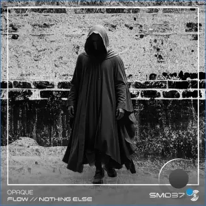 Opaque - Flow / Nothing Else (2026)