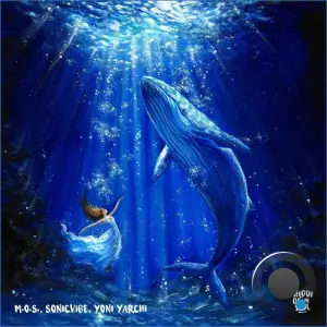 Yoni Yarchi, Sonicvibe - Voyager (2026)