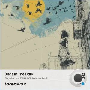 Diego Miranda (CH) - Birds in the Dark (2026)
