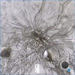 YearsAstray - 50 Dies Més (2026)
