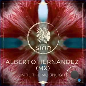 Alberto Hernandez (MX), PALOMA. - Until The Moonlight (2026)